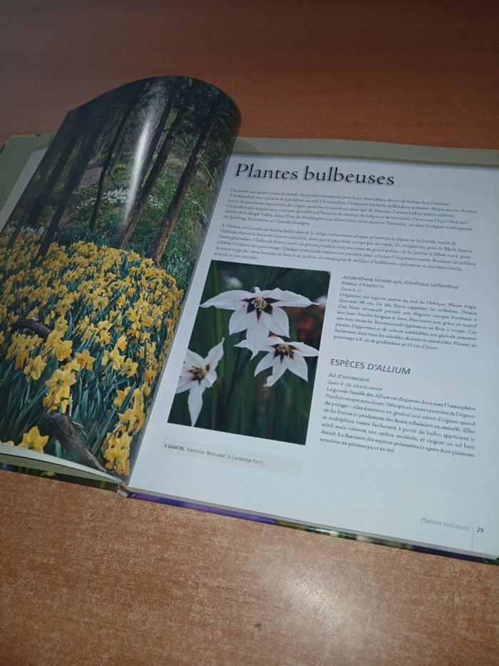 Plantes rustiques l'encyclopédie pratique - photo numéro 8