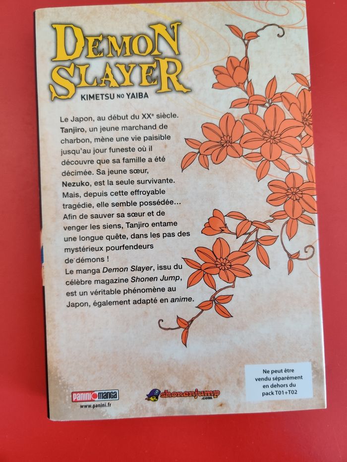 Livre démon slayer - photo numéro 2
