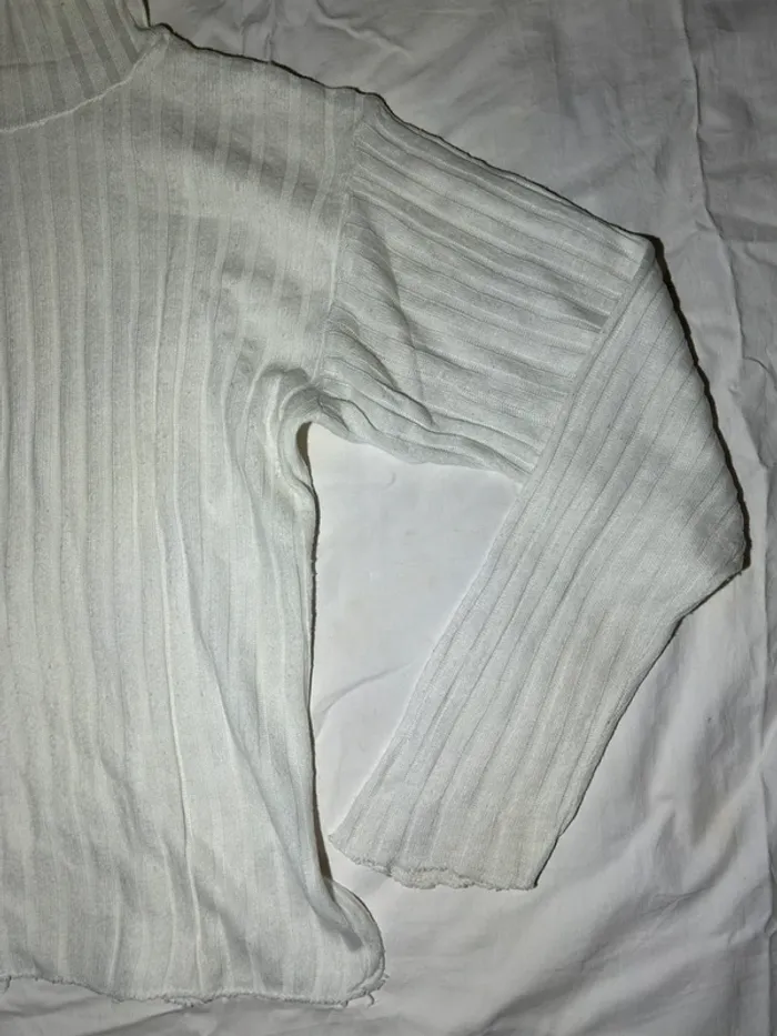 Pull col roulé - photo numéro 2