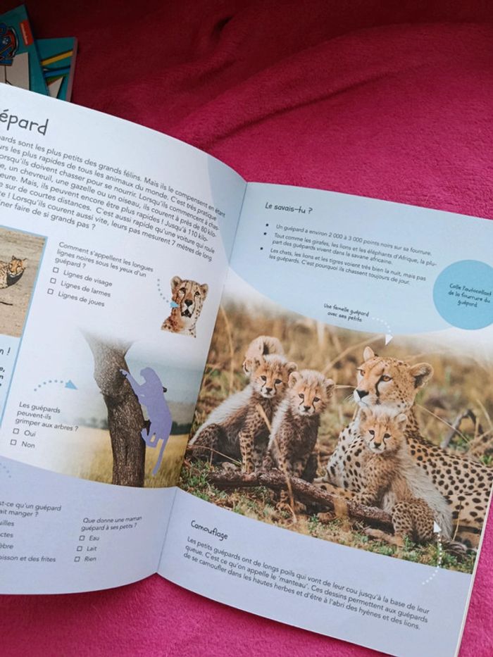 Cahier d'activités animaux sauvages - photo numéro 2