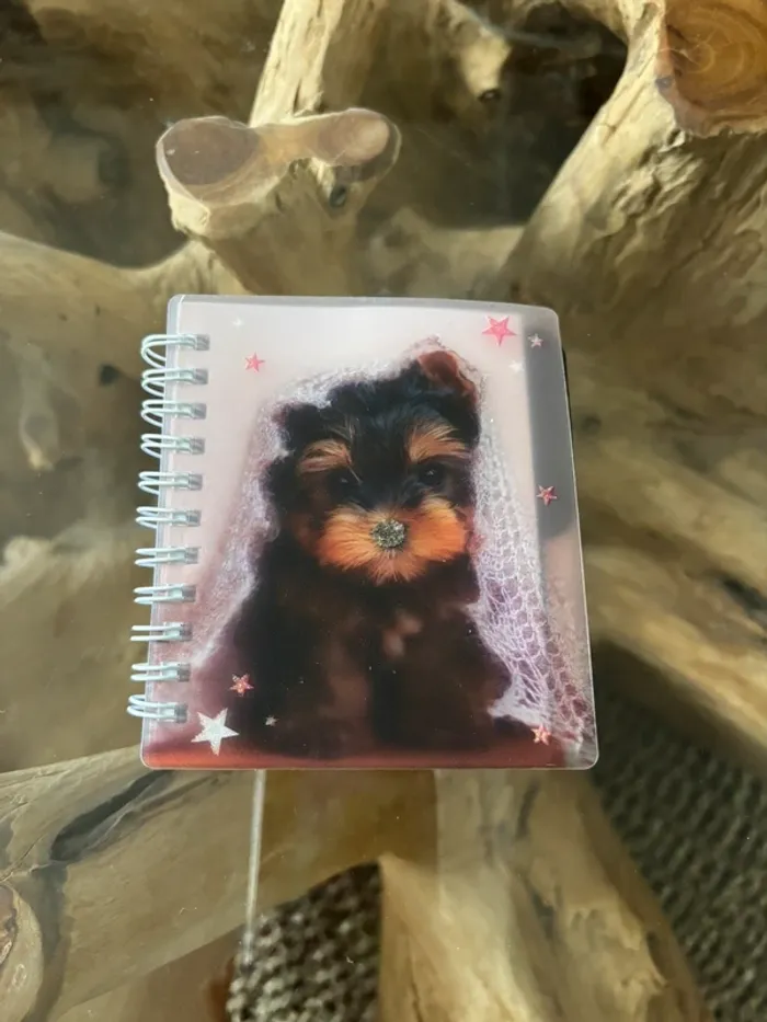 Petit carnet de notes dessins à spirales chien