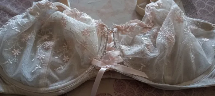 Soutien gorge - photo numéro 2
