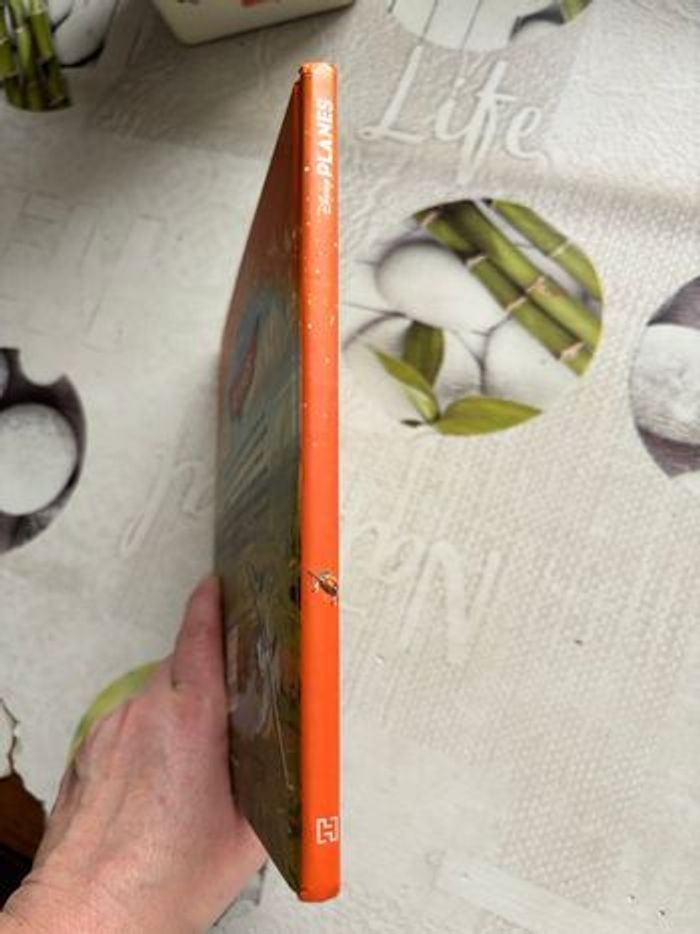 Livre Disney - photo numéro 6