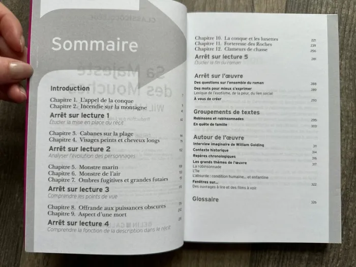 Sa majesté des Mouches - photo numéro 3