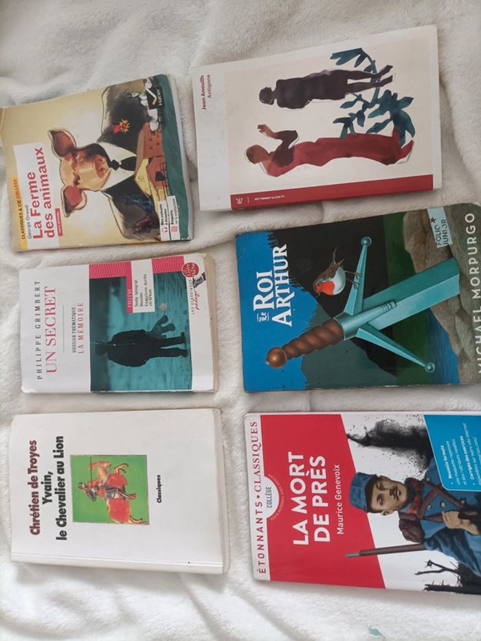 Énorme lot de livres collège – 15 titres - photo numéro 3