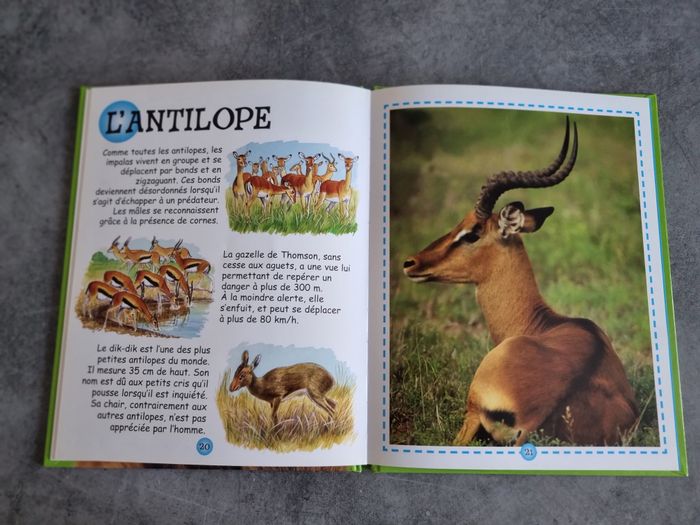 Les animaux de la savane - photo numéro 5