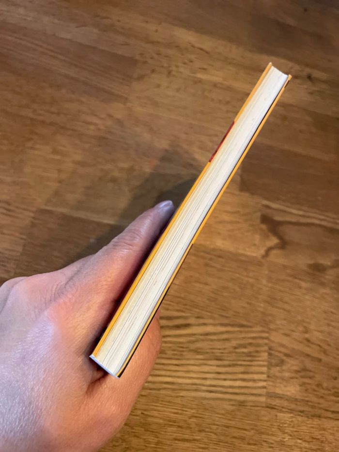 Livre Kinra Girls Numéro 24 Une star à l’école - photo numéro 5