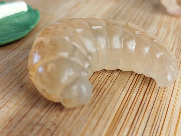 Figurine abeille Cycle de la vie - photo numéro 3