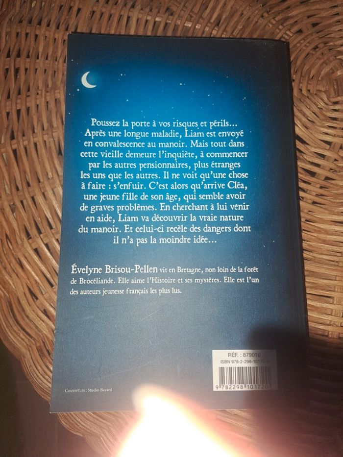 Le manoir 1 - photo numéro 2