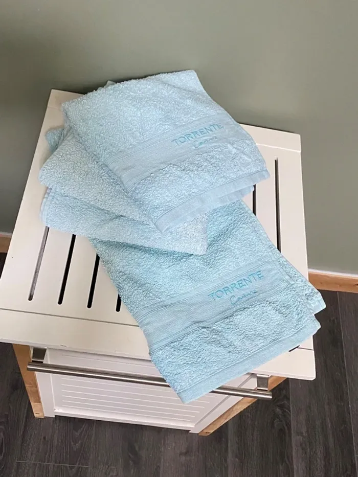 Lot de 4 serviettes bleues Torrente Couture - photo numéro 2