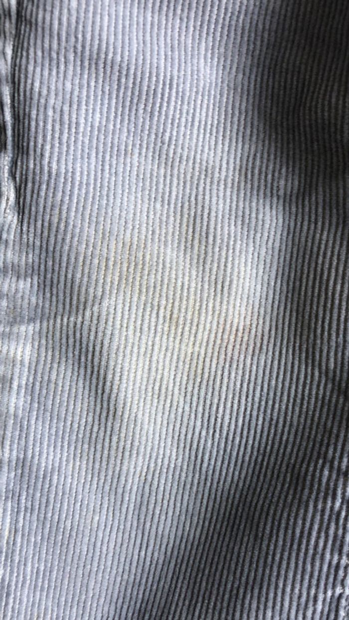 Pantalon velours - photo numéro 4