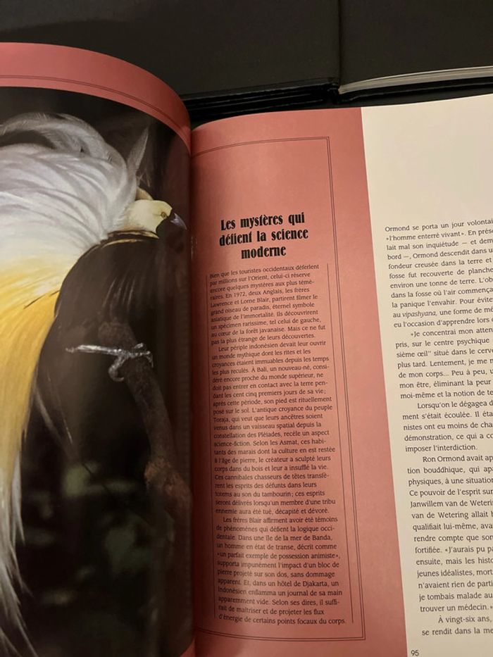 Attention à ne pas lettre entre toutes les mains ! 3 livres ésotériques - photo numéro 18