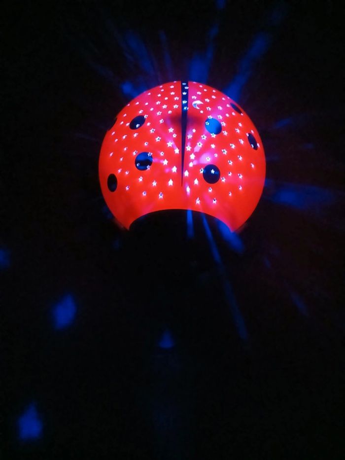 veilleuse coccinelle 🐞 - photo numéro 2