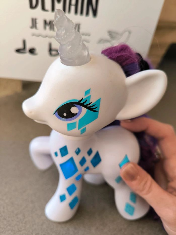 Grand poneys - photo numéro 2