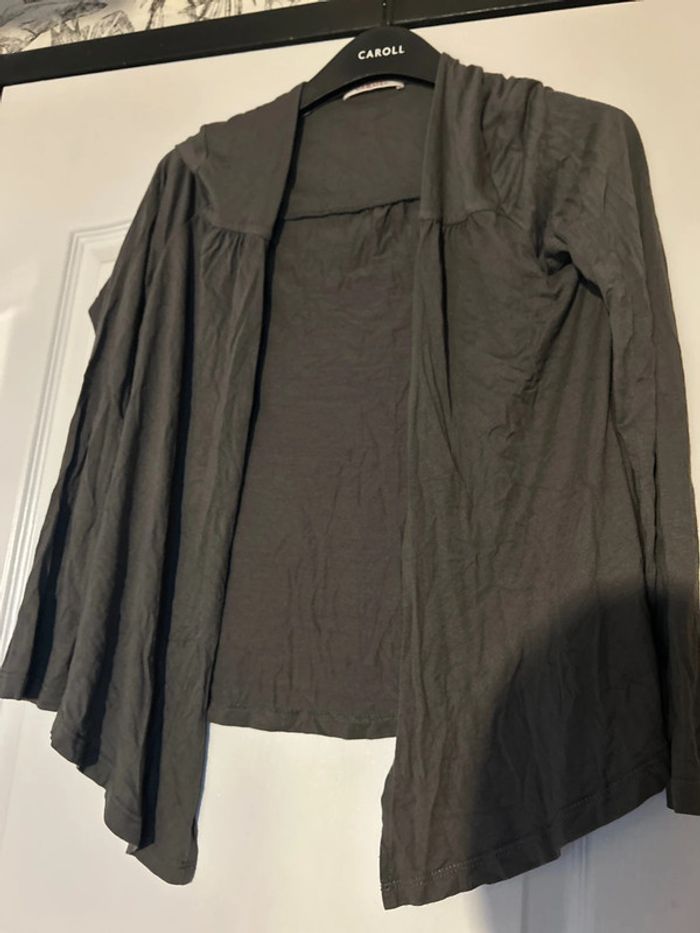 Gilet gris - photo numéro 3
