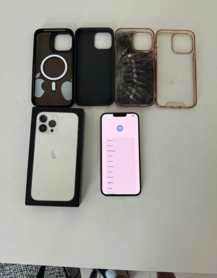 Apple treize pro max