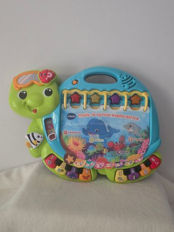 Thaïs la tortue exploratrice.