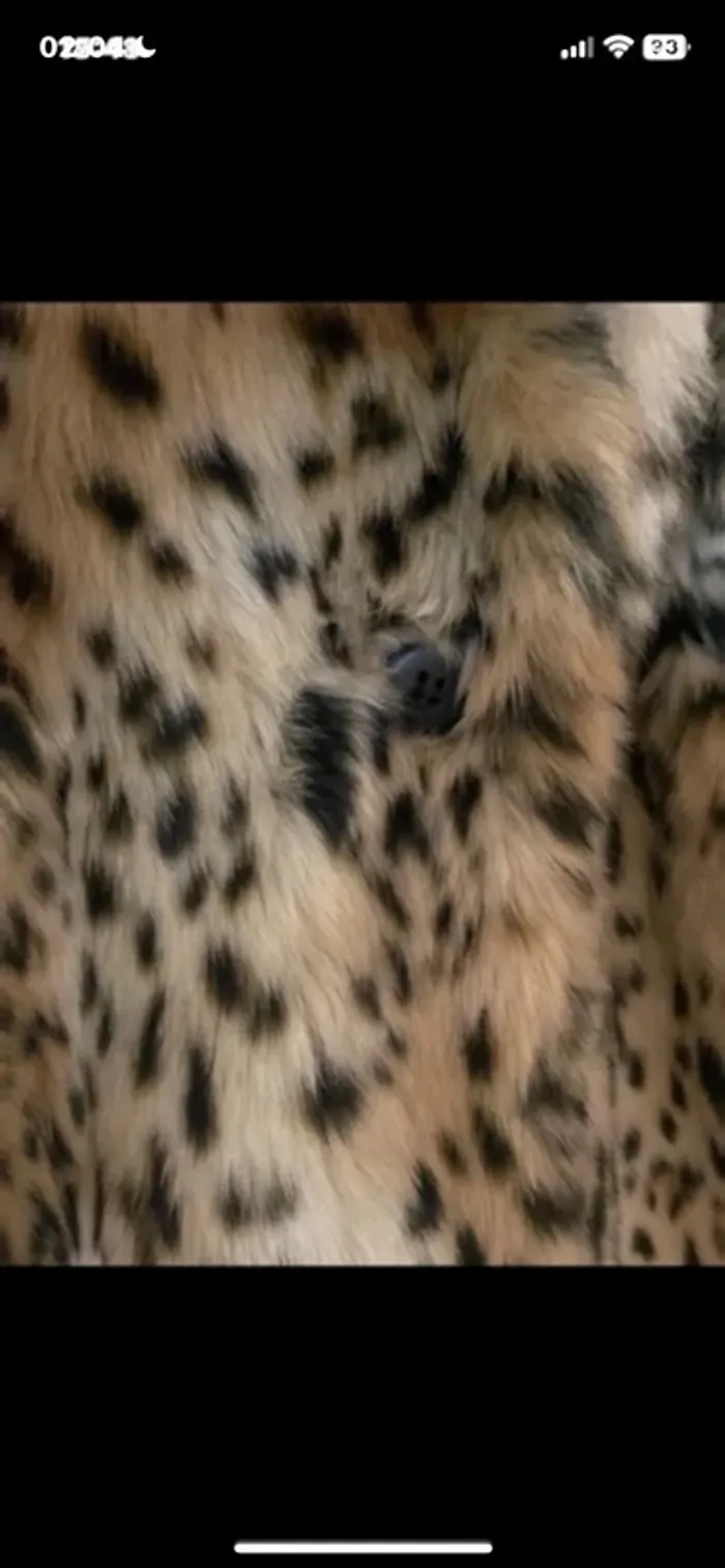 Magnifique manteau léopard, fausse fourrure tendance Zara, taille L glamour - photo numéro 7