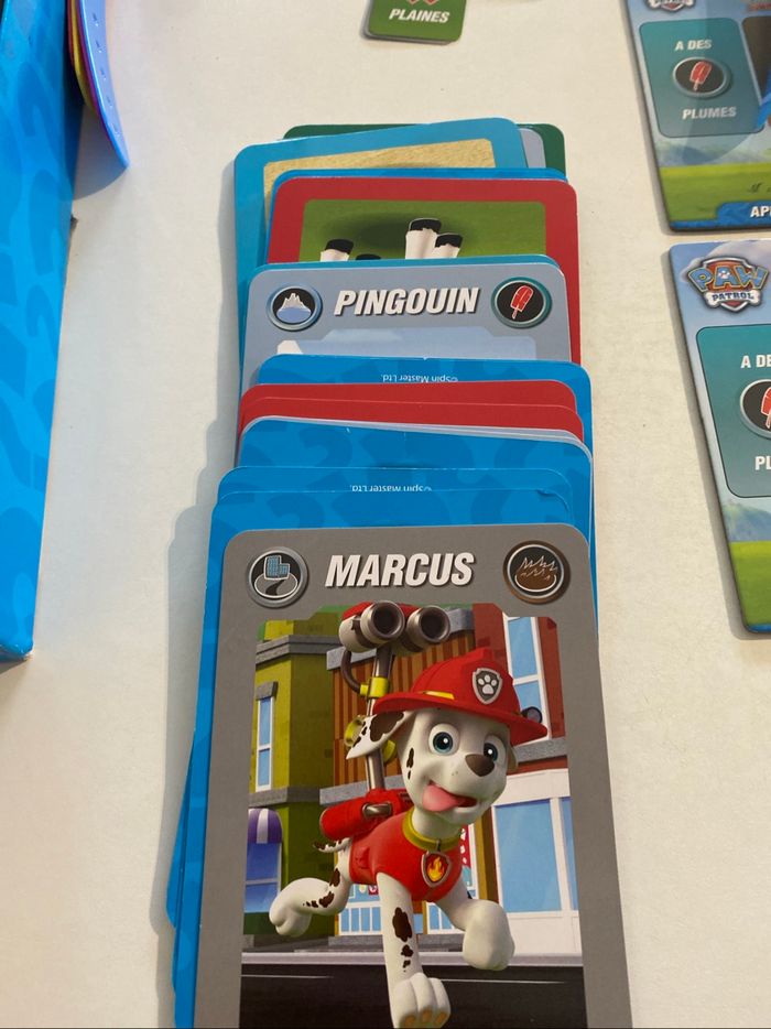 Devine Tête Paw Patrol Junior - photo numéro 6
