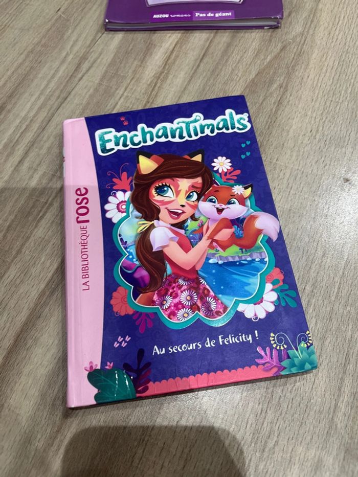 Lot de 4 livres de la bibliothèque rose enchantimals - photo numéro 5