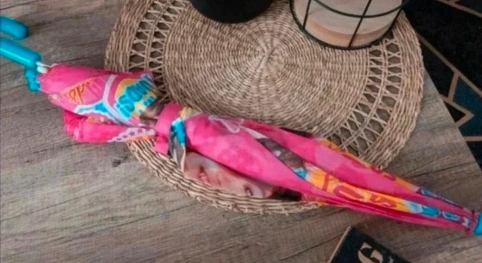 Parapluie rose - photo numéro 4