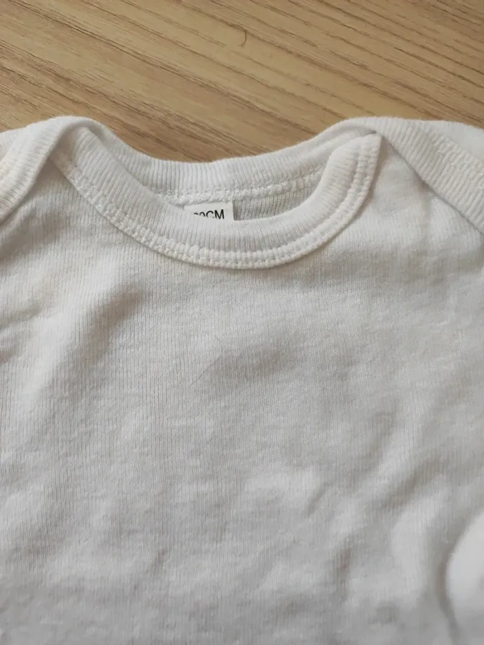 Lot 7 bodies - photo numéro 5