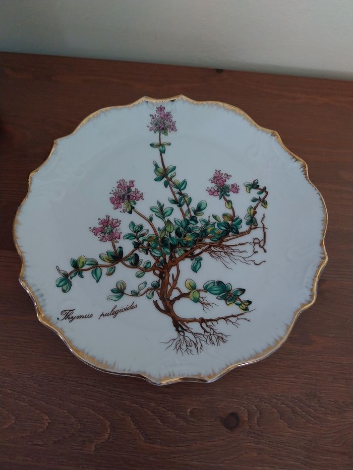 Assiette décorative Thymus pulegioidesi - photo numéro 2