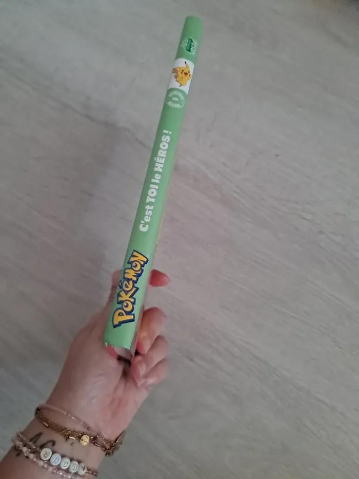 Livre Pokémon - photo numéro 3
