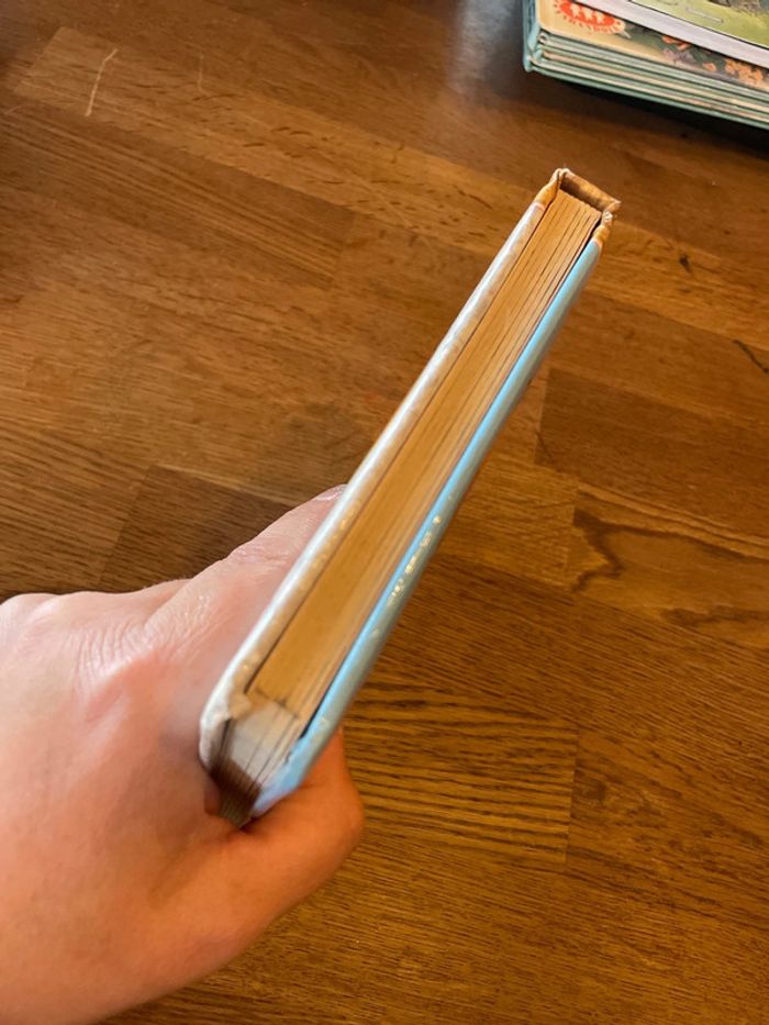 Livre p’tit Champion de danse Numéro 8 - photo numéro 5