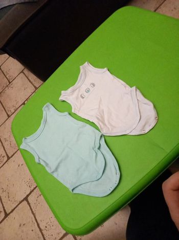 Lot 2 Bodies sans manche 6 mois