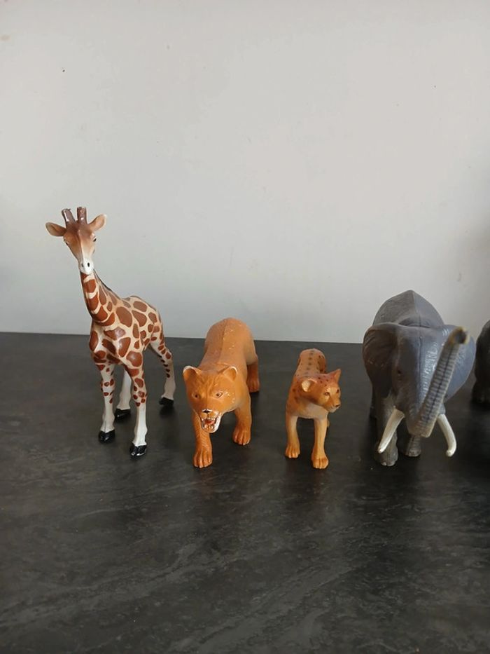 Lot animaux - photo numéro 2