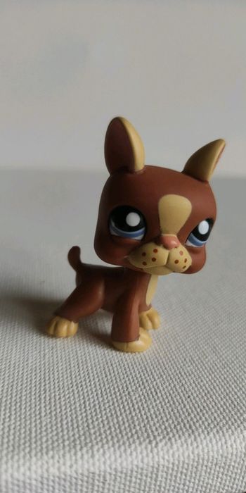 My littlest petshop chien Boston terrier 1789