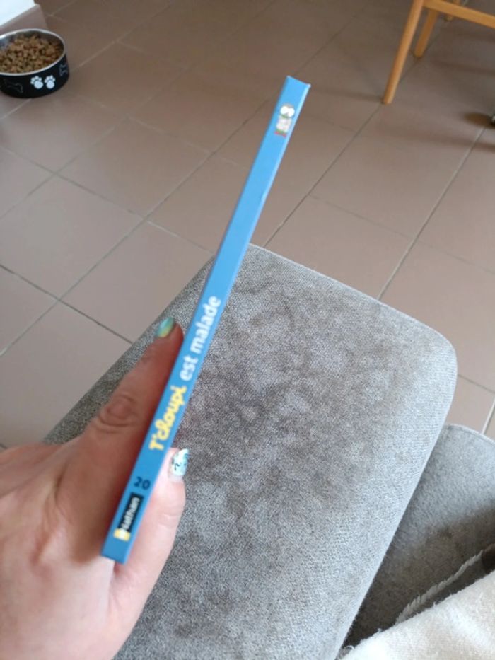 Livre T'choupi est malade - photo numéro 2