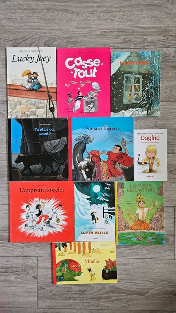 Lot 10 livres L'école des loisirs Animax 7-9 ans 