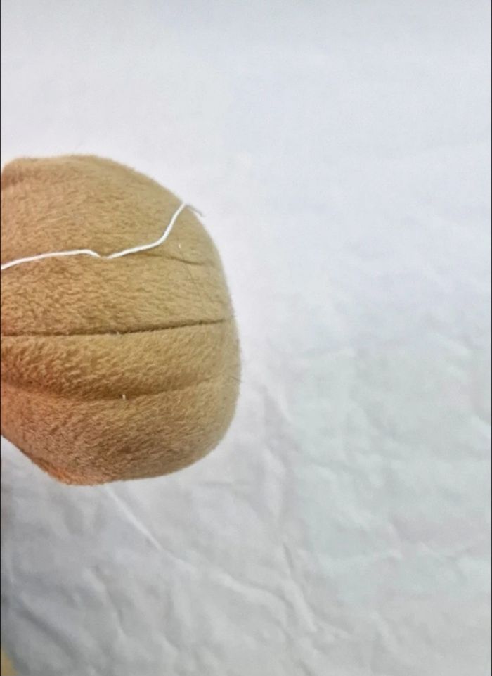 Grande peluche Scooby-Doo Hanna-Barbera Officielle 65cm - photo numéro 7