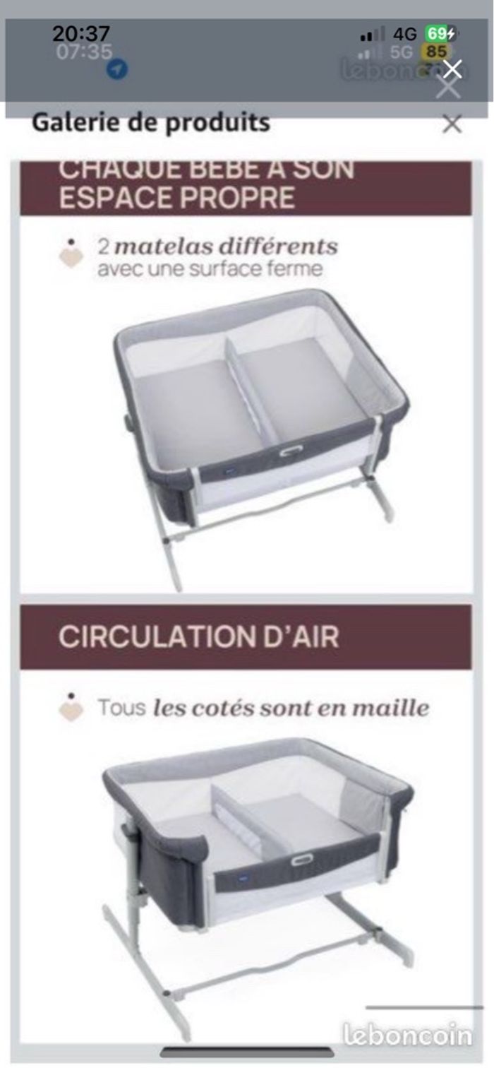 Cododo chicco - photo numéro 2