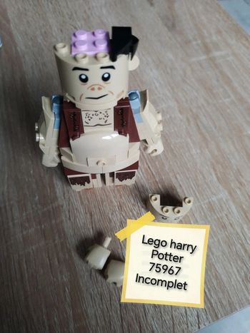 Lego harry Potter 75967 incomplet divers piece