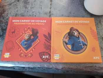 Livre Paddington neuf