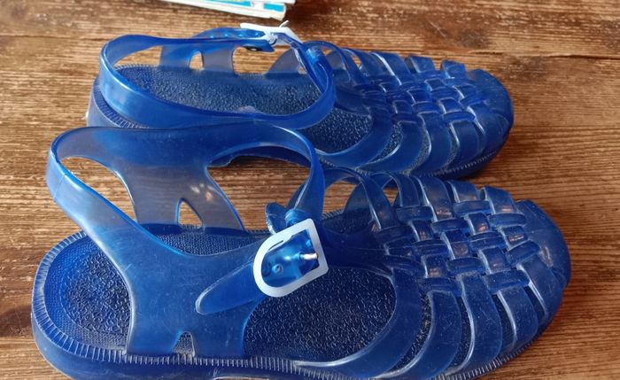 Méduses bleues
