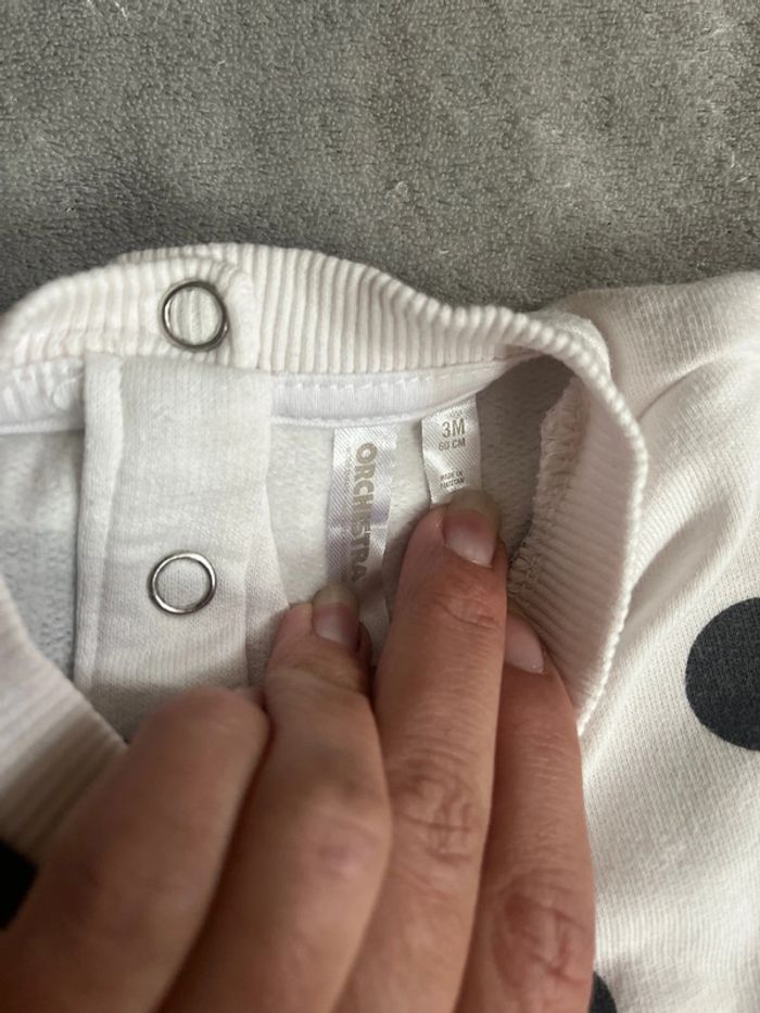 Pull chou Orchestra - photo numéro 2