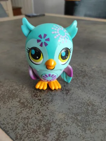 Petshop chouette