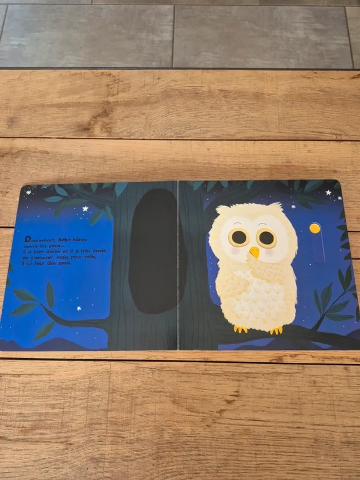 Livre “Au dodo bébé hibou n’a pas sommeil du tout”  Nathan - photo numéro 3