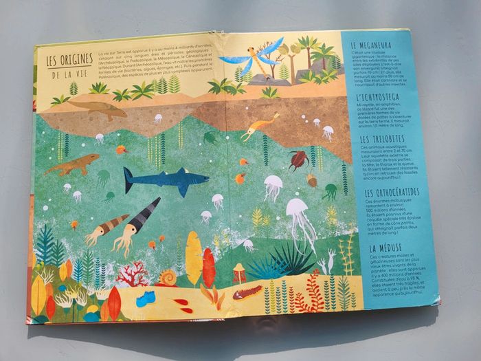 Superbe livre pop-up Dessus/Dessous Dinosaures et animaux préhistoriques - photo numéro 4