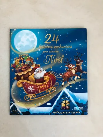 Livre calendrier de l’avent - 24 histoires enchantées pour attendre Noël - Fleurus