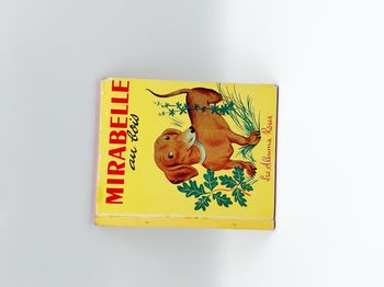 Livre enfant vintage Mirabelle au bois les albums roses 1958