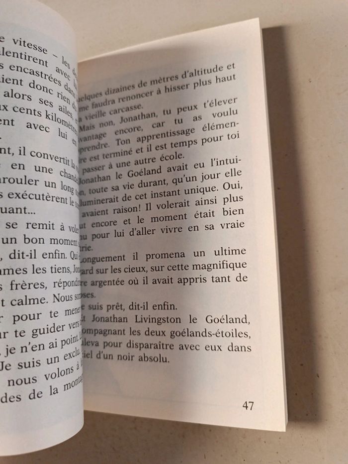 Jonathan Livingston le goéland de Richard Bach - photo numéro 10