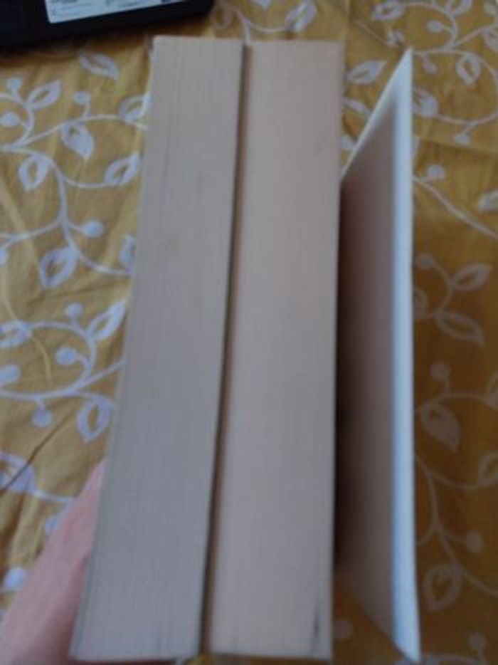 Romans Phobos tomes 1 et 2 - Victor Dixen - Collection R - photo numéro 4