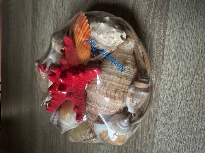 Corbeille avec coquillages