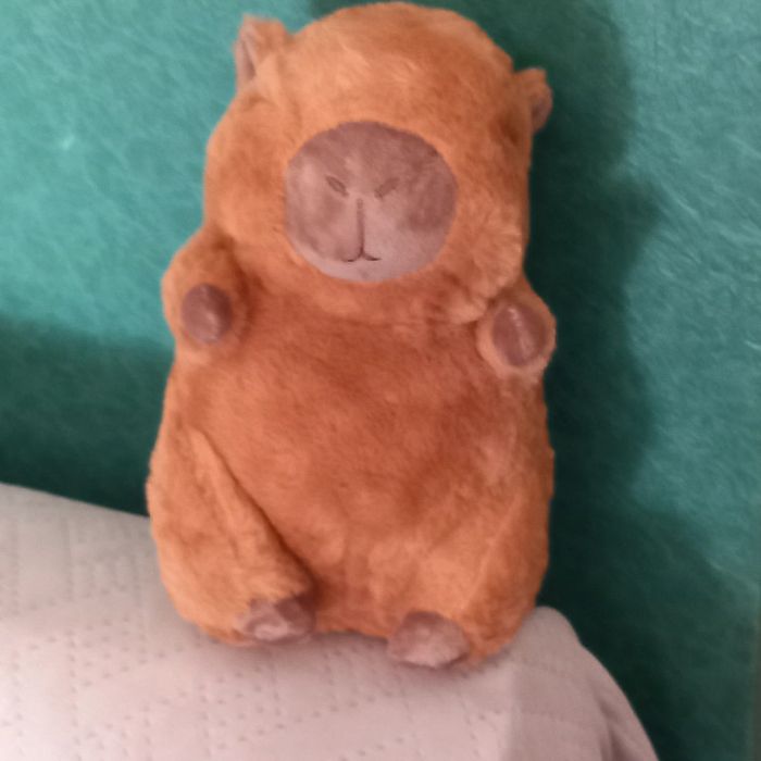 Peluche Capybara