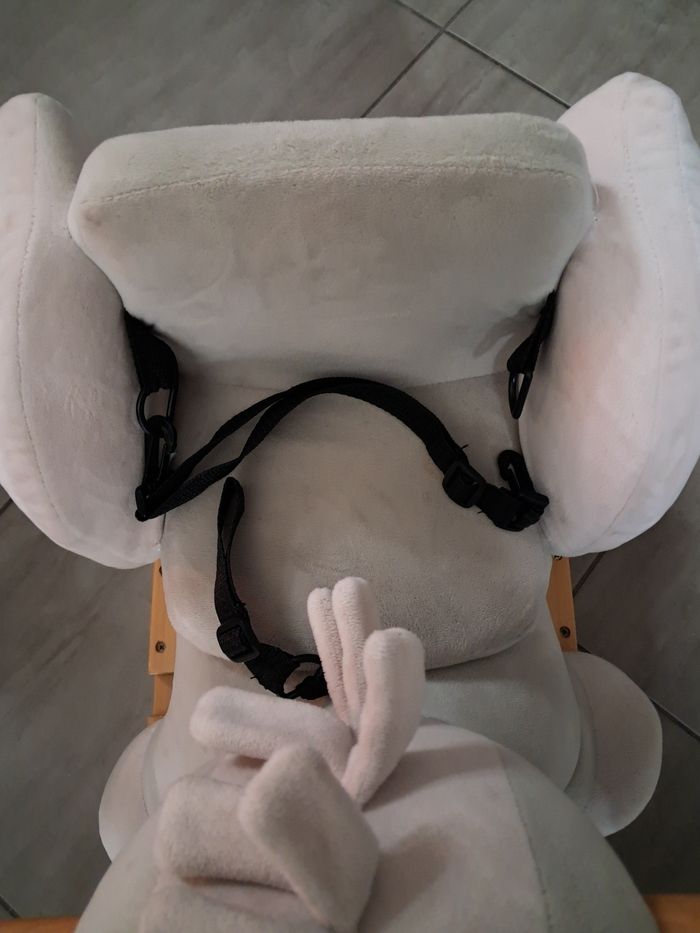 Âne a bascule - photo numéro 2